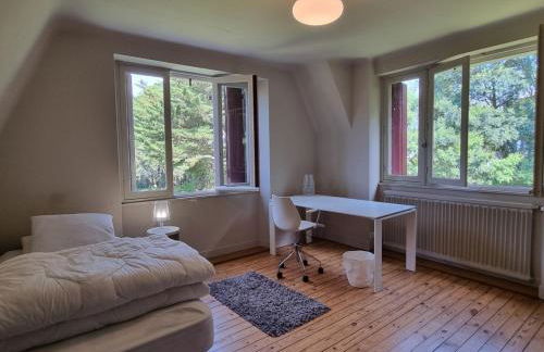 Maison familiale 10 personnes, proche île de Berder, Larmor Baden - FR-1-775-53 - Foto 13