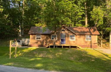 Carlton Cabin at Lake of Egypt 500 Sq Ft - Photo 41