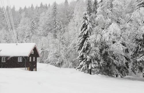 Sägemühle Eschachthal - Photo 53