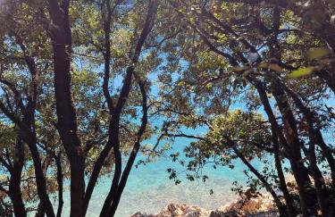 Istria Sea Side Apartments Lina - Foto 27