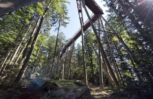 Cozy I Blockhütte im Nationalpark I Ferienwohnung - Foto 26
