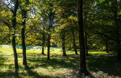 Larroque Haute Gites - Foto 51