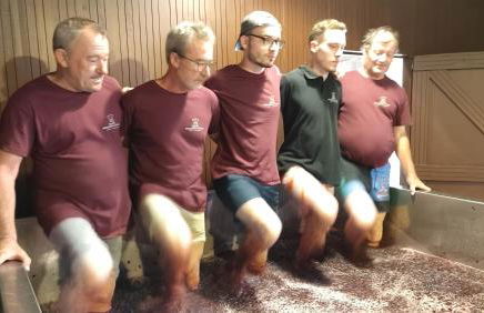 Quinta Barqueiros D'Ouro - Casa da Música - Photo 45