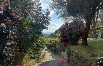 Casas da Tapada Briteiros Casa dos Ficos - Photo 14