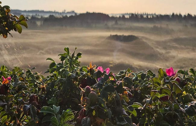 6 Person Holiday Home in Henne-by Traum - Foto 35