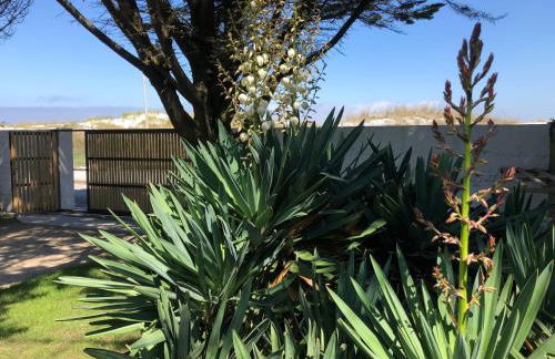 Cabanas Narea - Foto 67