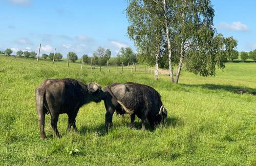 Osada Jaćwingów - Foto 26