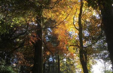 Drovers Retreat - Photo 74