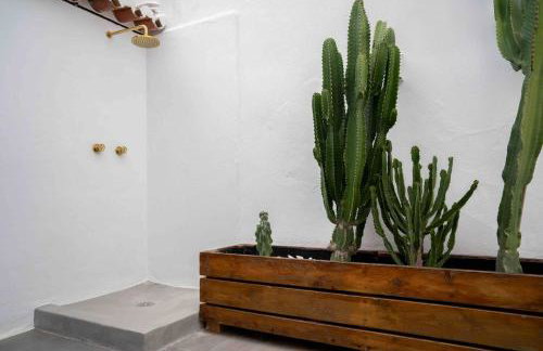 The Old House with Heated Pool, BBQ, Fireplace - Photo 18