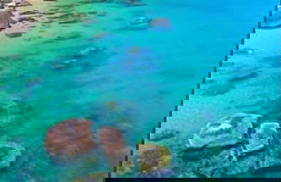 Couves Island & Prumirim Island Day Trip - Photo 4