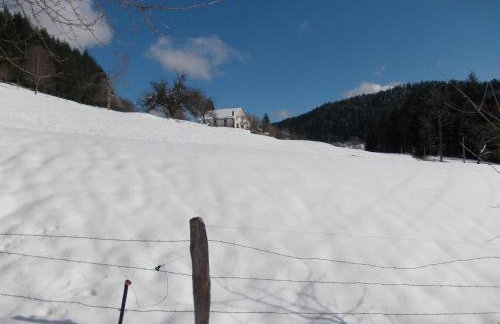 Holiday Home Vagney near Ski Gérardmer - Photo 7