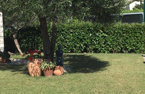 Villakamena - Foto 24
