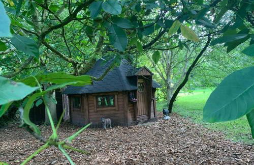 Starry Meadow & Rescued Animal Experiences - Foto 54