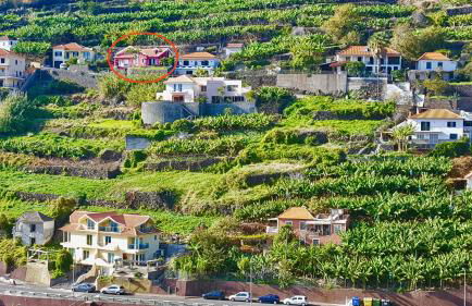 Pink House - Photo 6