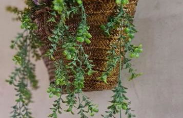 Entre Vistas - Foto 48