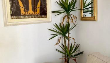 Lion House II - Foto 2