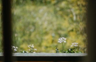 Salzbergalm - Foto 79