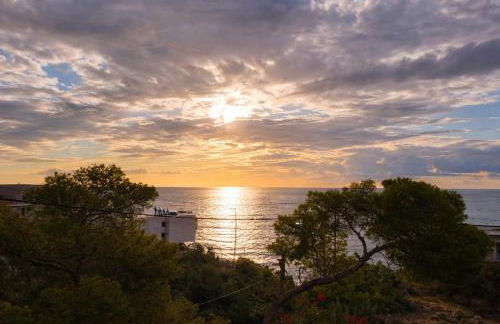 Kalimera Aegina - Foto 28