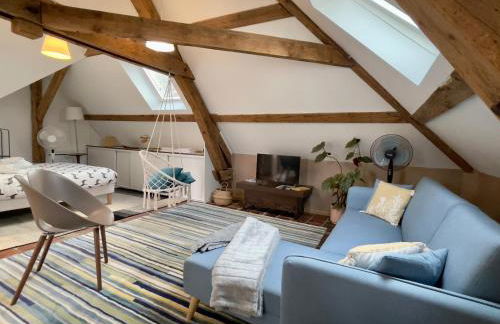 Appartements de Diane - JOIGNY - Foto 46