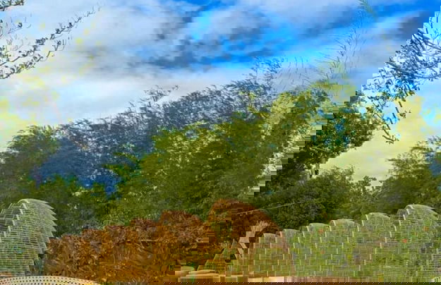 The Mactan Newtown Near Airport - Photo 39