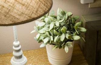 Village House Lianelia Boutique - Photo 24