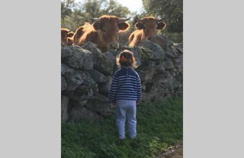 Vuelos de Montaña l - Foto 37