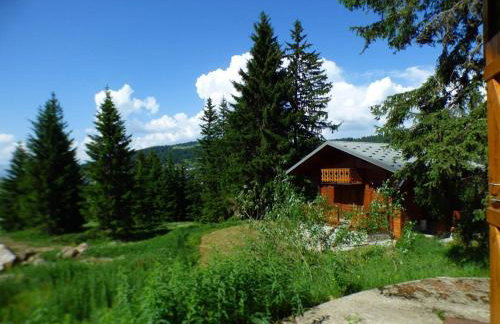 Chalet spacieux 4 pièces en forêt - Les Saisies - FR-1-594-42 - Foto 3