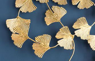 Wohnen im Carl Maria von Weber Geburtshaus - Foto 43