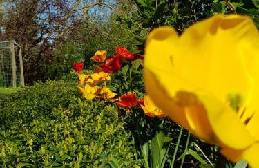 De Friesenjung Nordsee - Foto 3