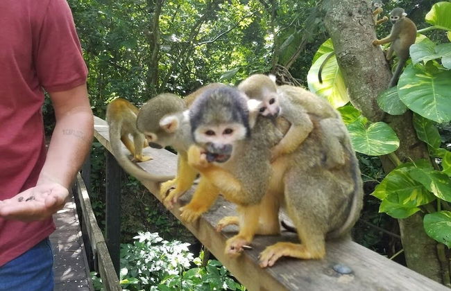 Sunset Haven: Beach Isle House FL Keys MIA Marina - Foto 36