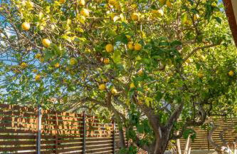 Casa Katrine - Foto 23