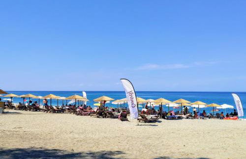 Flower house - Foto 49