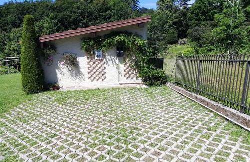 I tulipani - Foto 12