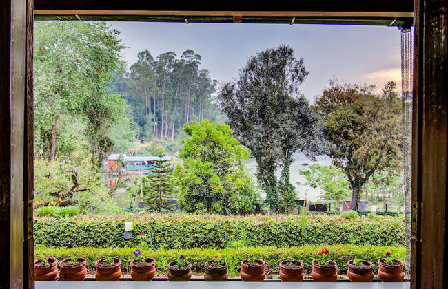 Misty Cove One - Foto 7