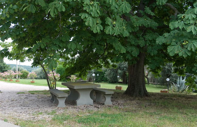 Antico Casale di Montegualandro & Spa - Foto 61