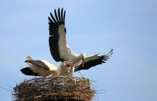 Ferienwohnung Drömmeljan - Foto 23