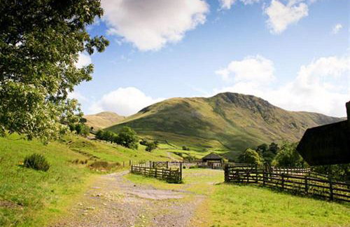 Thomas Cottage - Foto 8