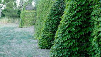 Mas del Molí - Foto 4