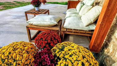 Masia Sisqueta - Photo 2