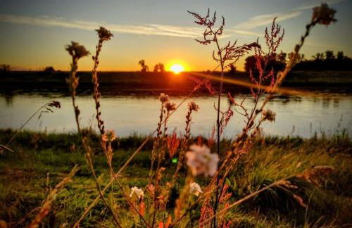 Ferienwohnung Pension Reimann Zwethau - Foto 22