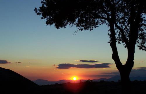 Azienda Agricola Passaro - Photo 13