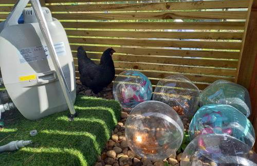 Lovely Semi-rural Caravan & Hot Tub - Sleeps Fam 6 - Photo 55