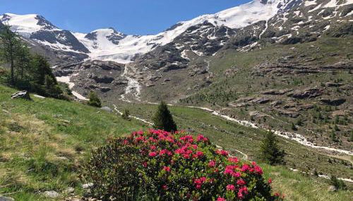 Alpine Chalet - Photo 4