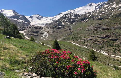 Alpine Chalet - Foto 4