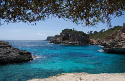 Finca Tiana - Photo 51
