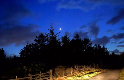 5a Plantation Road - Foto 34