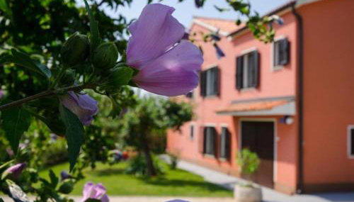 Comfort Villa Roza in Umag - Foto 2