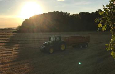 The Annex @ 3 East Town Cottages - Photo 35