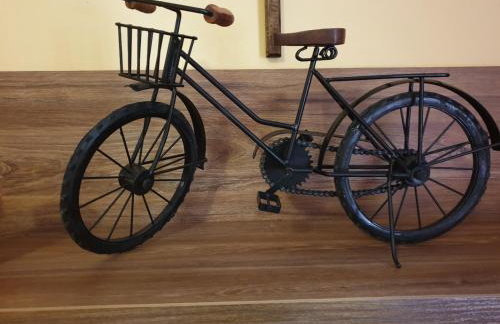 Vila Ema-kuća za odmor - Foto 24