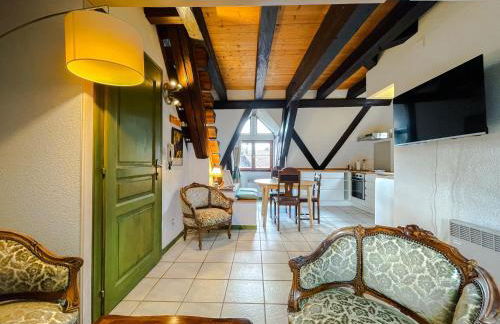 La Maison Bleue - Historic House in the Heart of Riquewihr - Foto 67